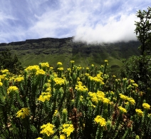 Drakensberg - Lesotho